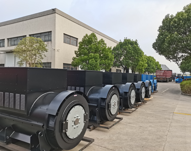 Alternadores para Centrales Eléctricas: Generación de Energía Confiable y Eficiente